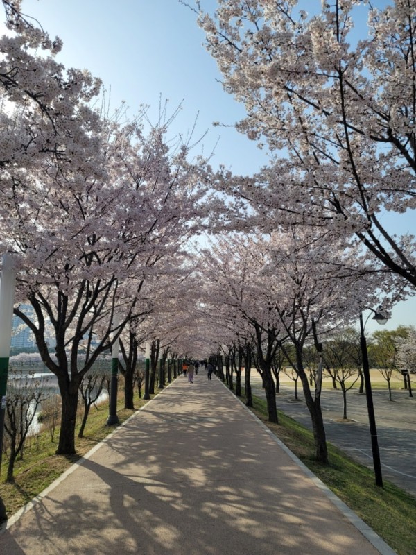 만석공원